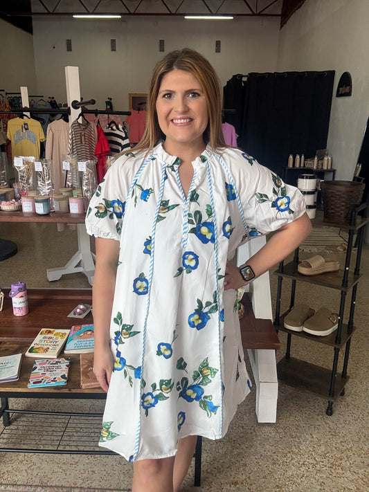 Paige Curvy Mini Dress